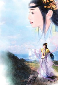 我的老婆是明星